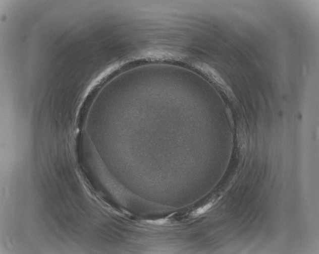 X0000082760488200701261451