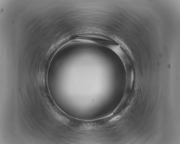 X0000082760489200701261451