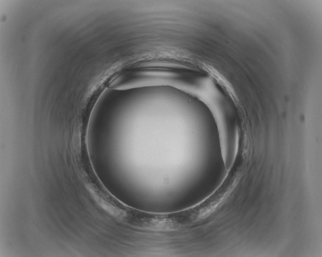 X0000082760493200701261451