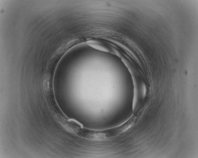 X0000082760501200701261451