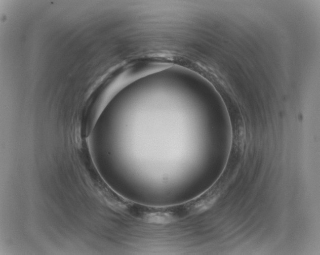 X0000082760508200701261451