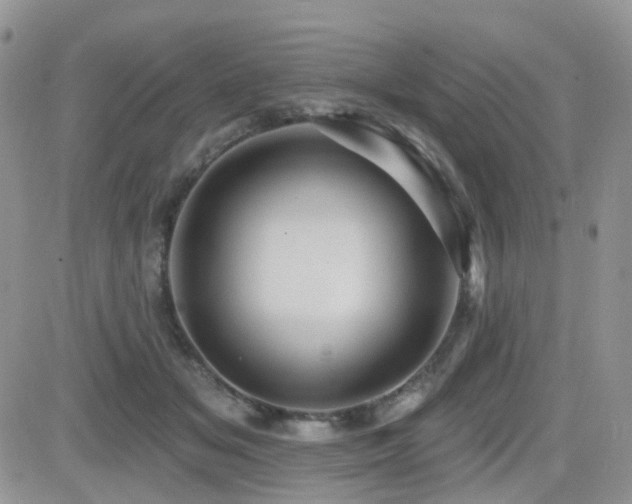 X0000082760509200701261451