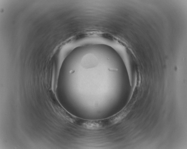X0000082760512200701261450
