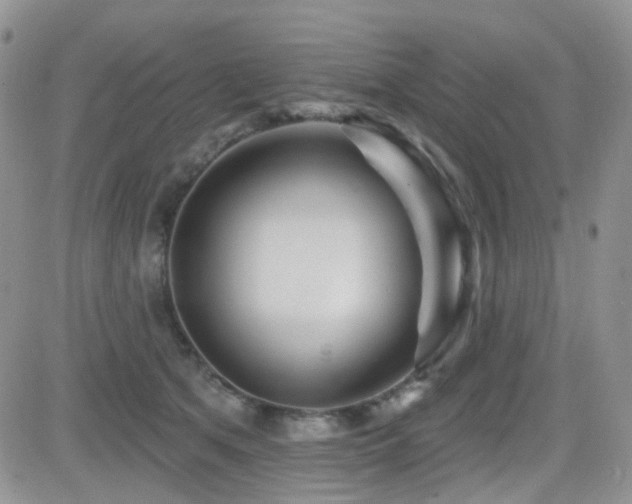 X0000082760513200701261450