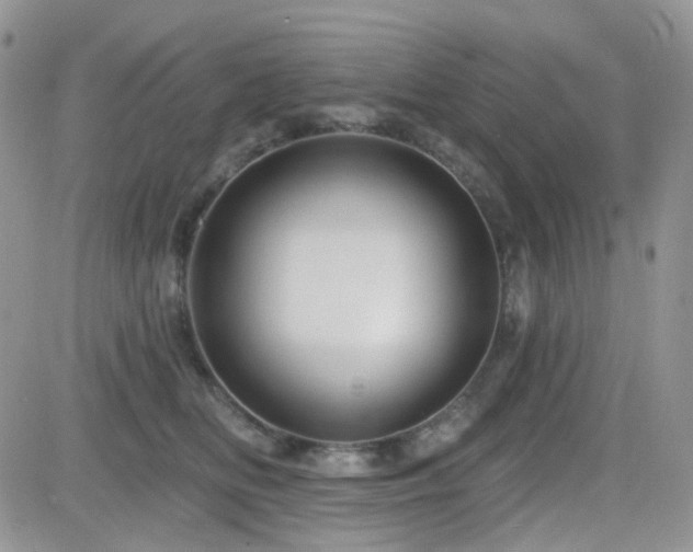 X0000082760518200701261450