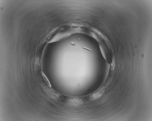 X0000082760521200701261450