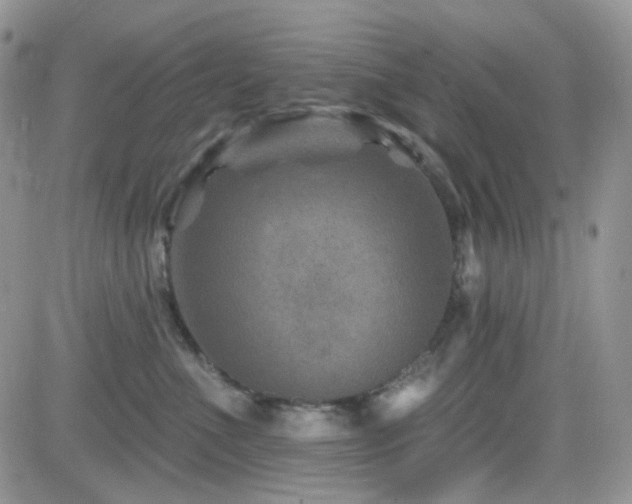 X0000082760523200701261450