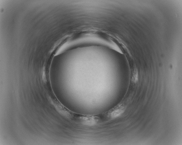 X0000082760524200701261450