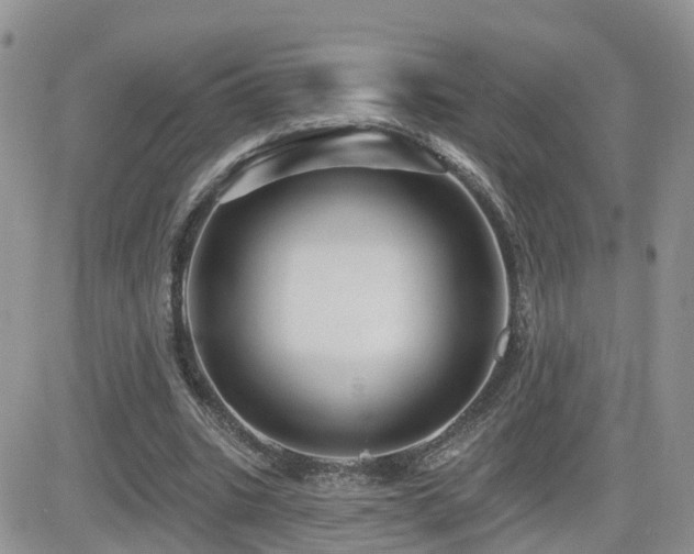 X0000082760535200701261450