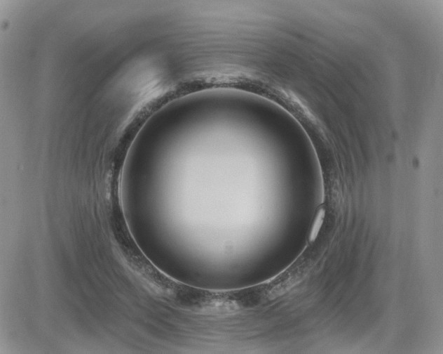 X0000082760543200701261450