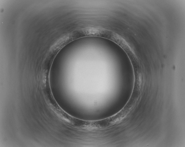 X0000082760545200701261450