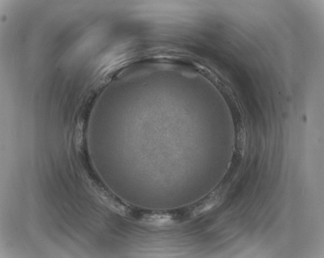 X0000082760554200701261450