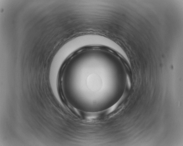 X0000082760564200701261450