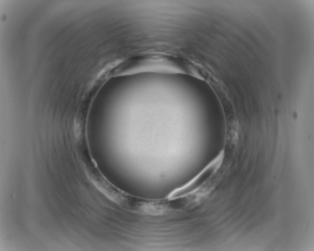 X0000082760568200701261450