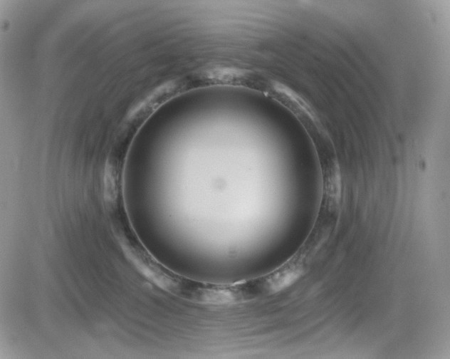 X0000082760572200701261450