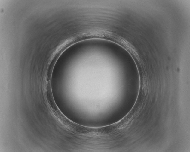 X0000082760578200701261449