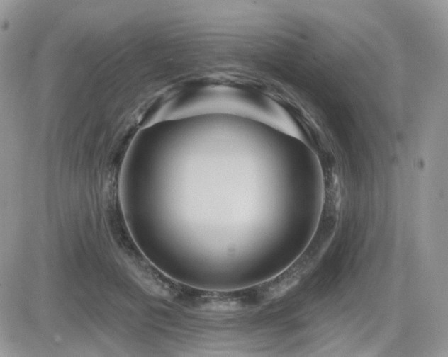 X0000082760601200701261449