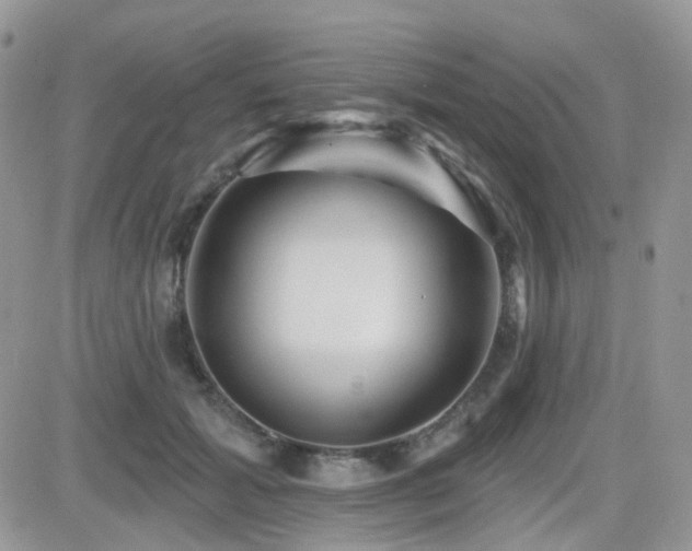X0000082760605200701261449