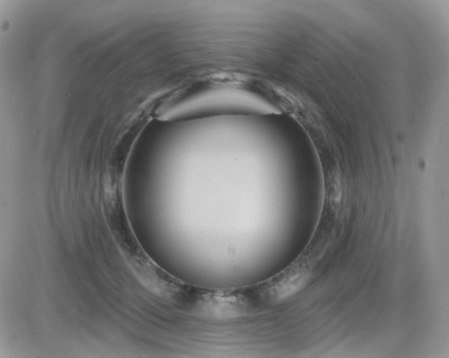 X0000082760607200701261449