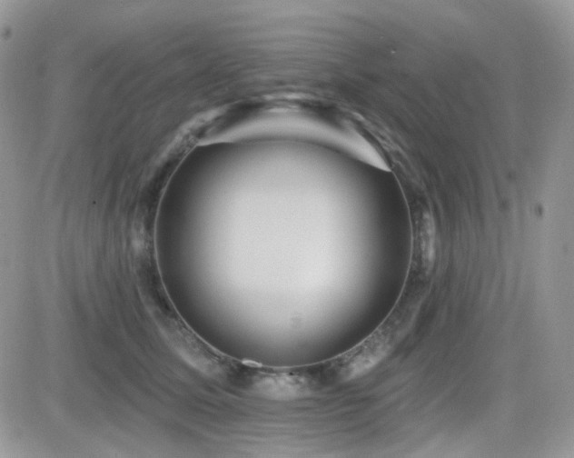 X0000082760611200701261449