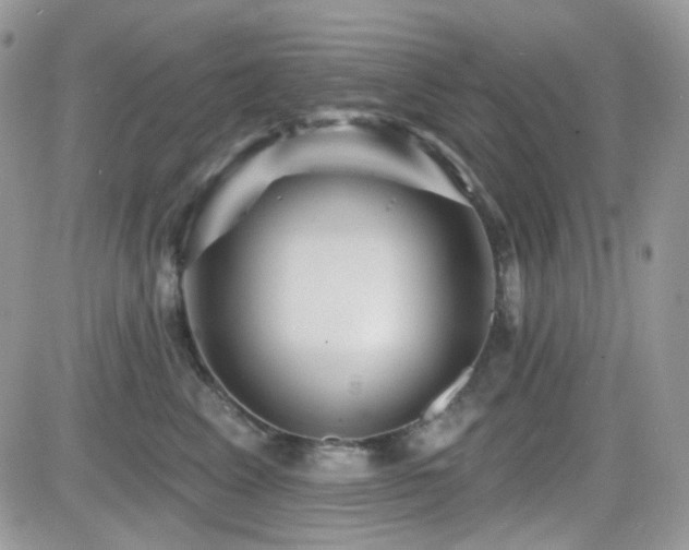 X0000082760617200701261449