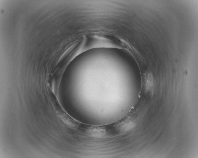 X0000082760619200701261449