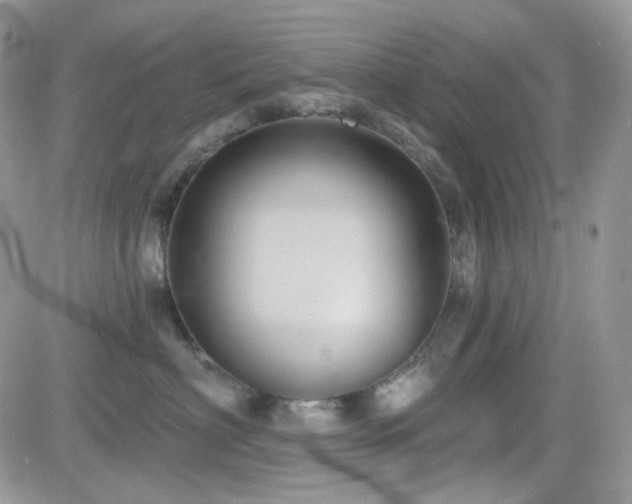 X0000082760622200701261449