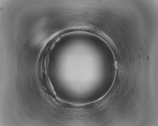 X0000082760628200701261448