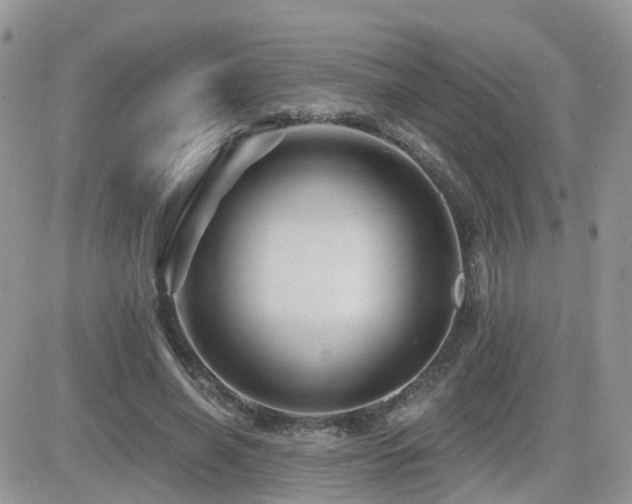 X0000082760638200701261448