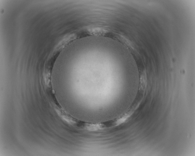 X0000082760671200701261449