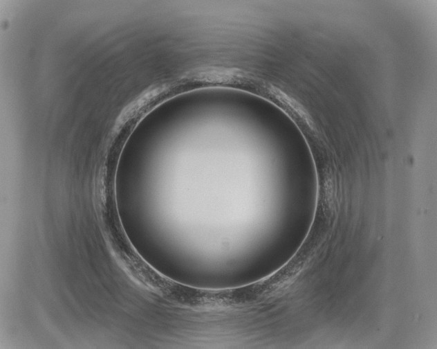 X0000082760682200701261448