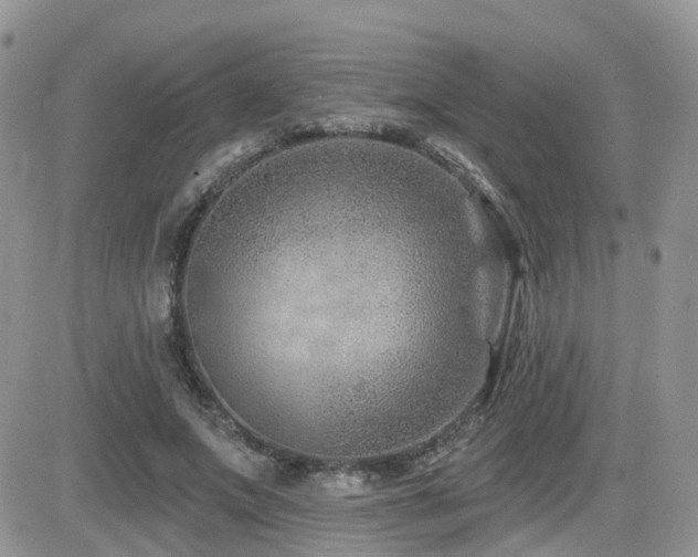 X0000082760687200701261448