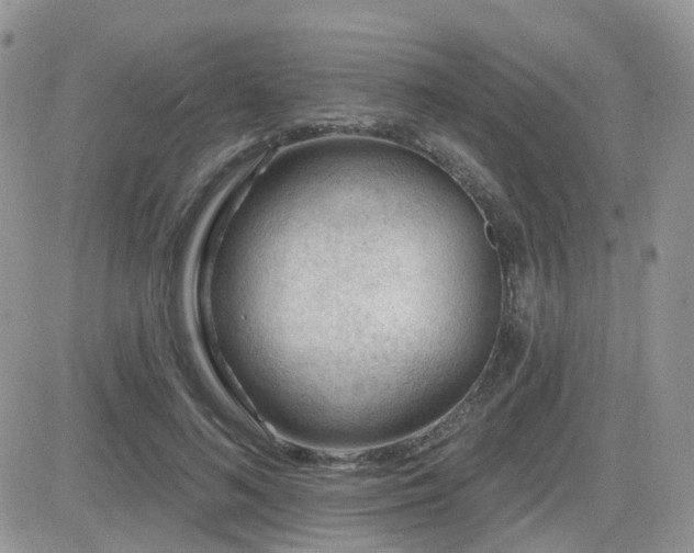X0000082760692200701261448