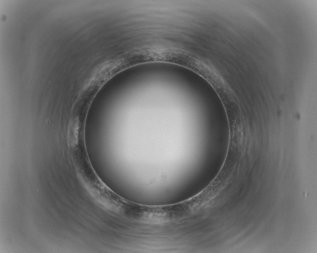 X0000082760694200701261447