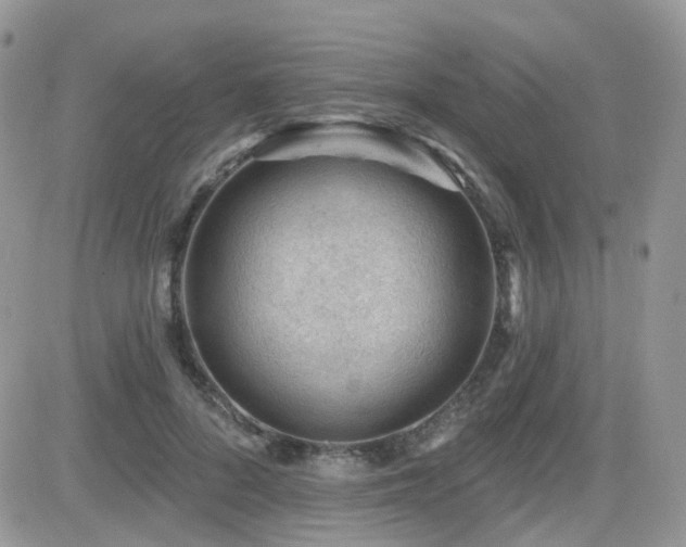X0000082760696200701261447