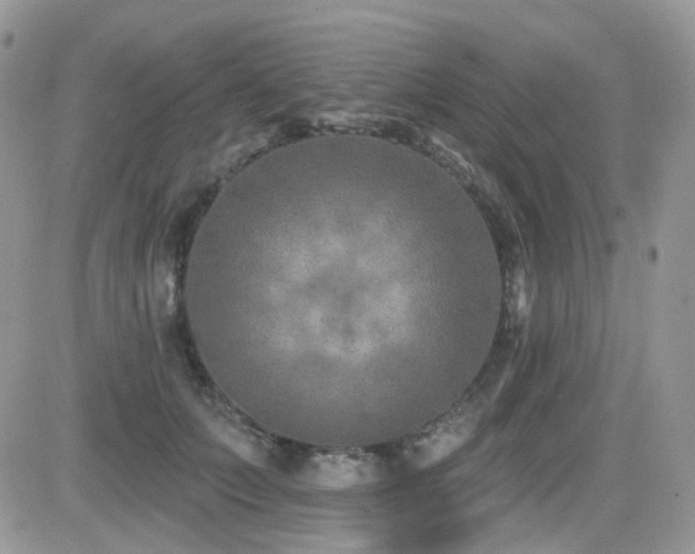 X0000082760703200701261447