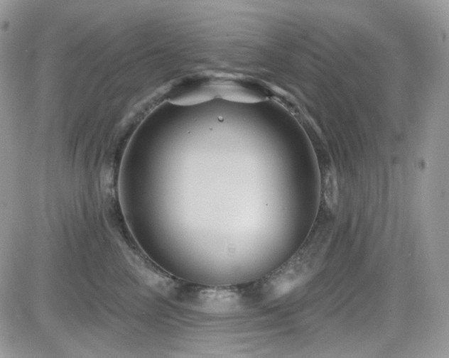 X0000082760714200701261447