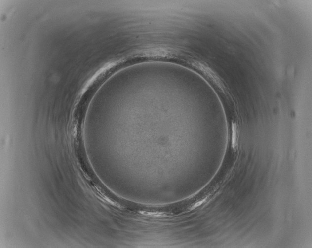 X0000082760723200701261446