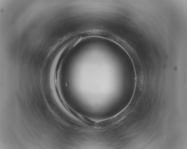 X0000082760734200701261446