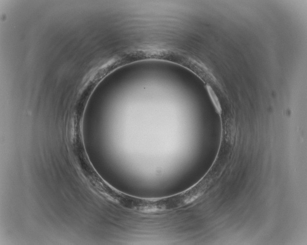 X0000082760740200701261447