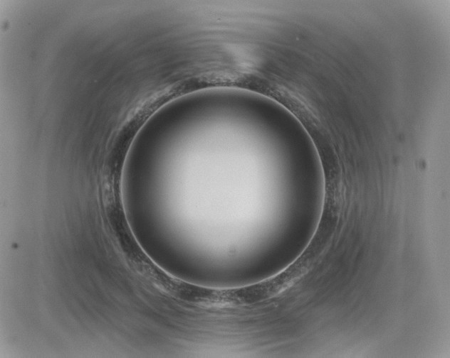 X0000082760743200701261447