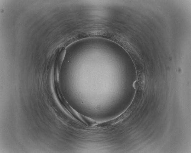 X0000082760746200701261447
