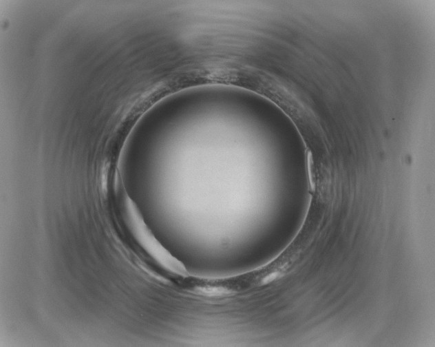 X0000082760748200701261447