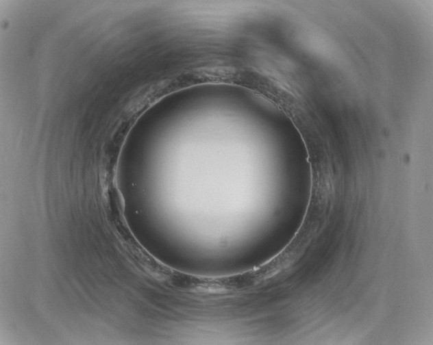 X0000082760749200701261447