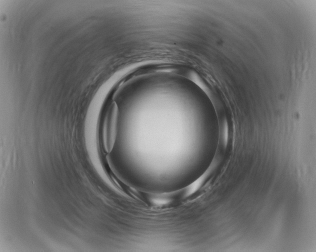 X0000082760750200701261447