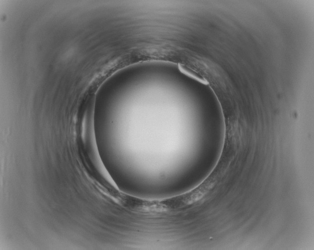 X0000082760752200701261447