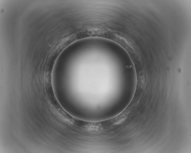X0000082760756200701261447