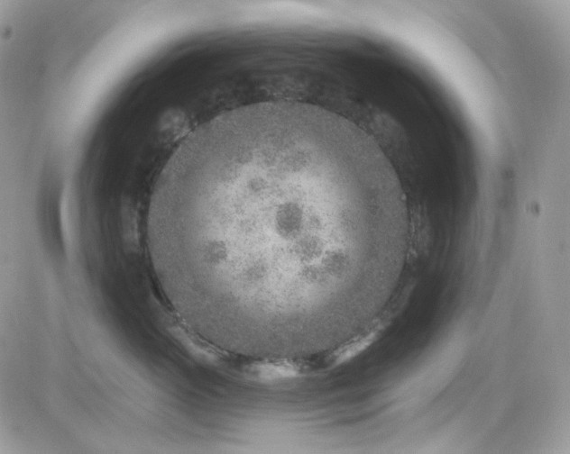 X0000082760765200701261447