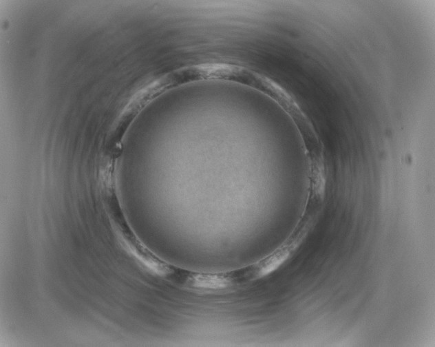 X0000082760766200701261447