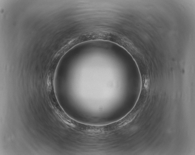 X0000082760771200701261446